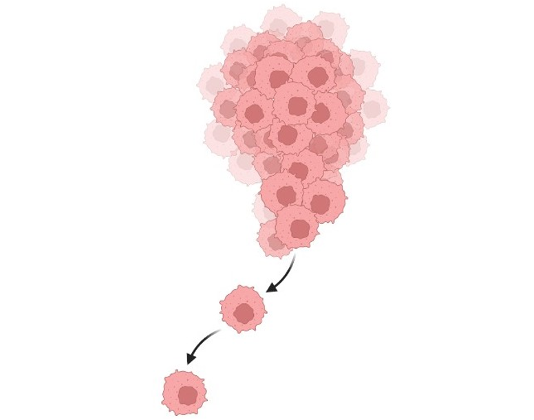 Cancer Progression
